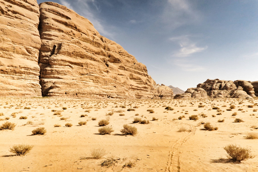 desert